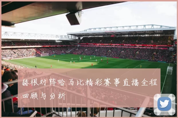 赫根对阵哈马比精彩赛事直播全程回顾与分析