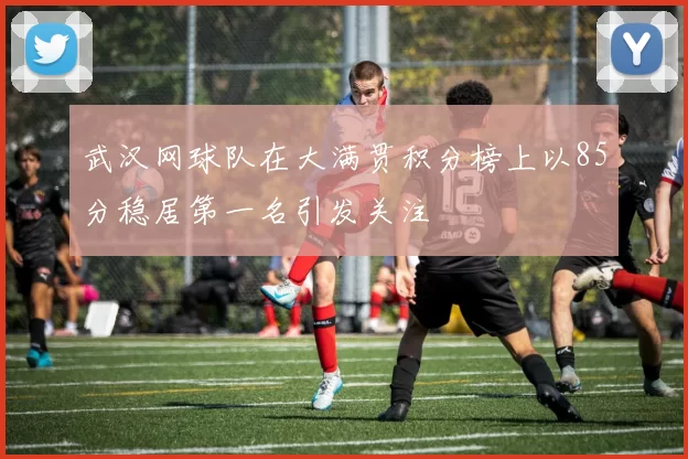 武汉网球队在大满贯积分榜上以85分稳居第一名引发关注