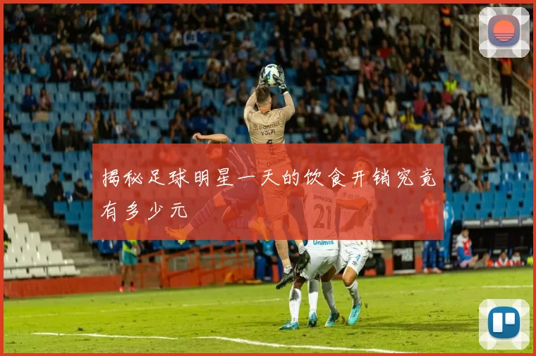 揭秘足球明星一天的饮食开销究竟有多少元