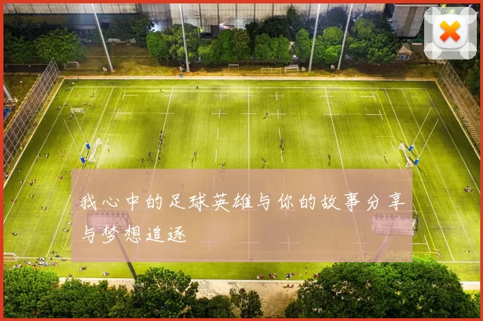 我心中的足球英雄与你的故事分享与梦想追逐