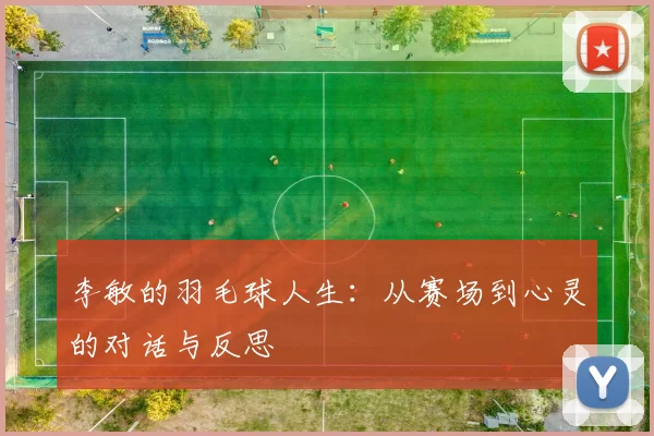 李敏的羽毛球人生：从赛场到心灵的对话与反思