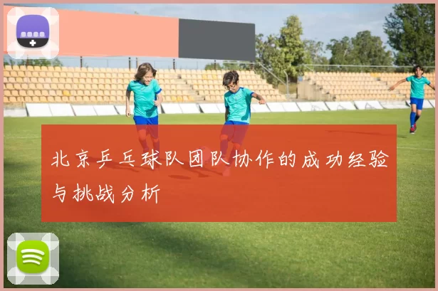 北京乒乓球队团队协作的成功经验与挑战分析