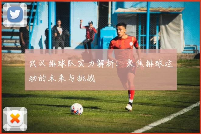 武汉排球队实力解析：聚焦排球运动的未来与挑战