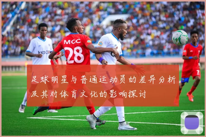 足球明星与普通运动员的差异分析及其对体育文化的影响探讨