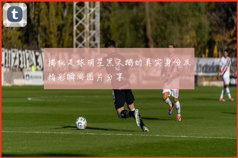 揭秘足球明星黑天鹅的真实身份及精彩瞬间图片分享