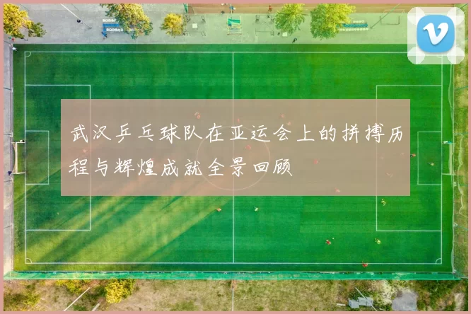 武汉乒乓球队在亚运会上的拼搏历程与辉煌成就全景回顾