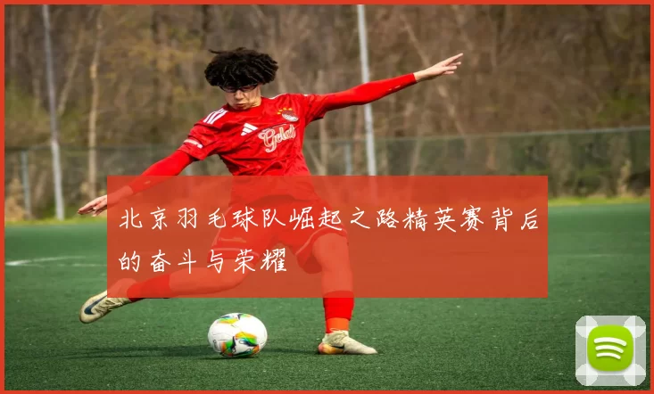 北京羽毛球队崛起之路精英赛背后的奋斗与荣耀