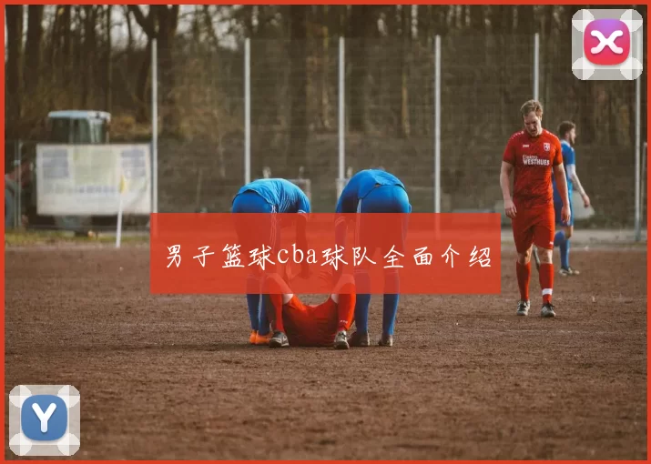 男子篮球cba球队全面介绍