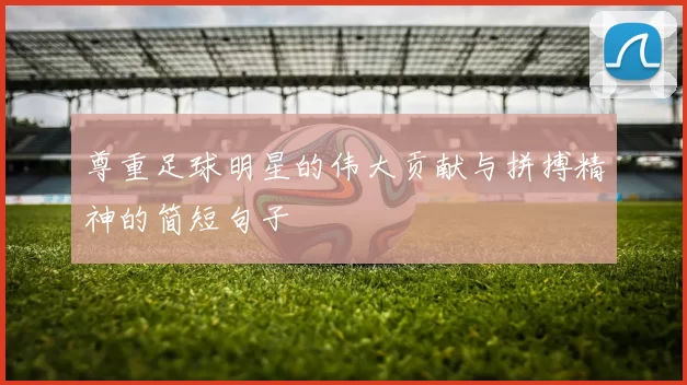 尊重足球明星的伟大贡献与拼搏精神的简短句子