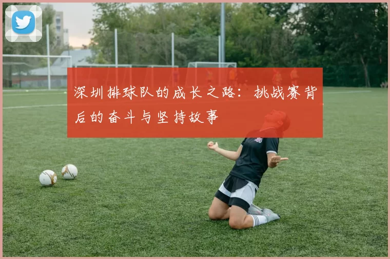 深圳排球队的成长之路：挑战赛背后的奋斗与坚持故事