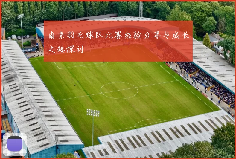 南京羽毛球队比赛经验分享与成长之路探讨