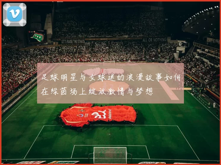 足球明星与女球迷的浪漫故事如何在绿茵场上绽放激情与梦想