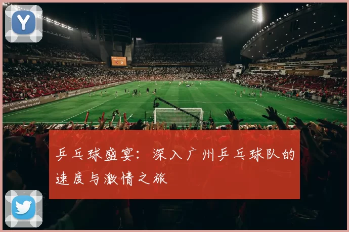 乒乓球盛宴：深入广州乒乓球队的速度与激情之旅