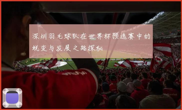 深圳羽毛球队在世界杯预选赛中的蜕变与发展之路探秘