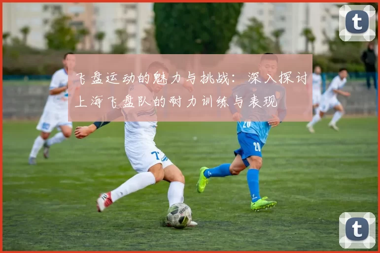 飞盘运动的魅力与挑战：深入探讨上海飞盘队的耐力训练与表现