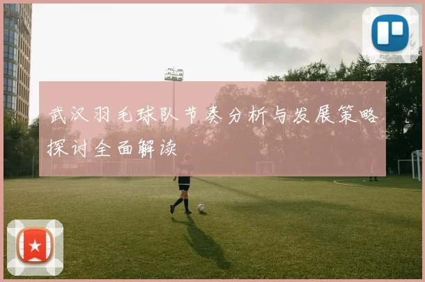 武汉羽毛球队节奏分析与发展策略探讨全面解读