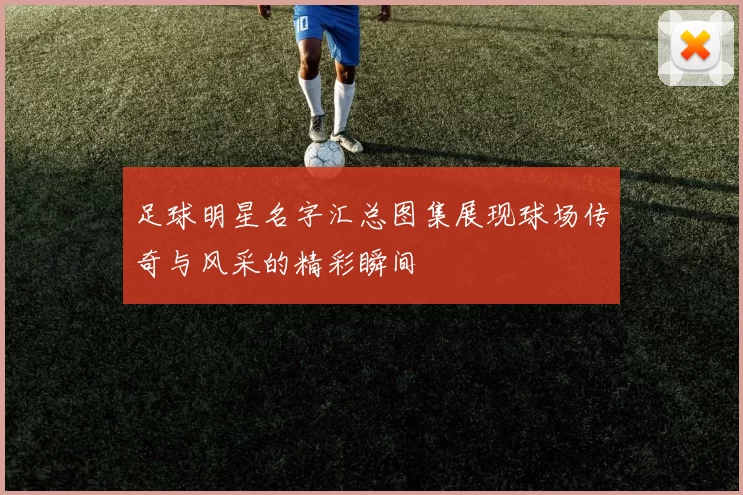 足球明星名字汇总图集展现球场传奇与风采的精彩瞬间