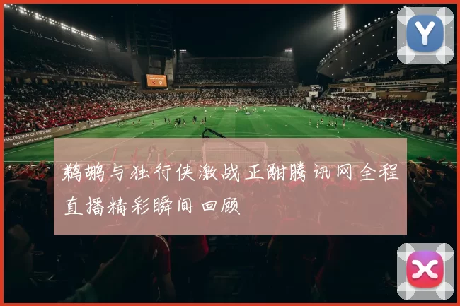 鹈鹕与独行侠激战正酣腾讯网全程直播精彩瞬间回顾
