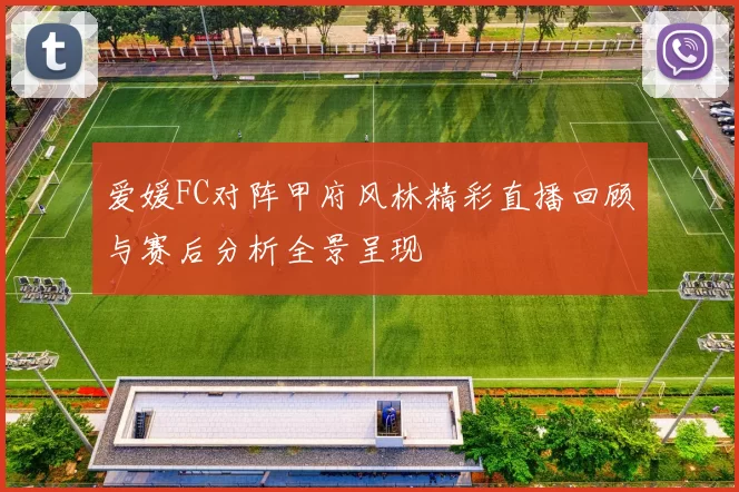 爱媛FC对阵甲府风林精彩直播回顾与赛后分析全景呈现