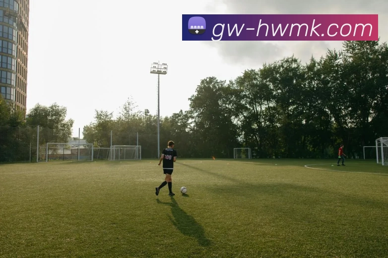 MK体育APP 高清赛事图